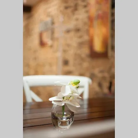 Bonito Apartamento, Nuevo Y En El Casco Viejo!!! Lägenhet