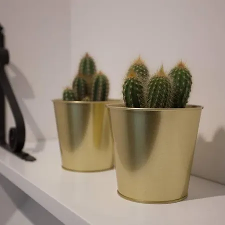 Bonito Apartamento, Nuevo Y En El Casco Viejo!!! *